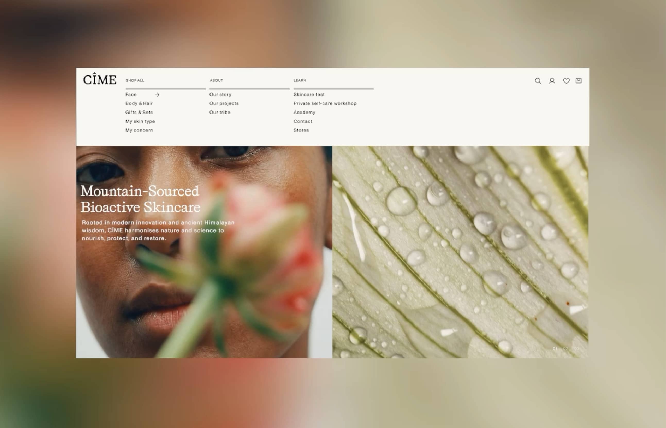 The Phoney Club_CIME_22