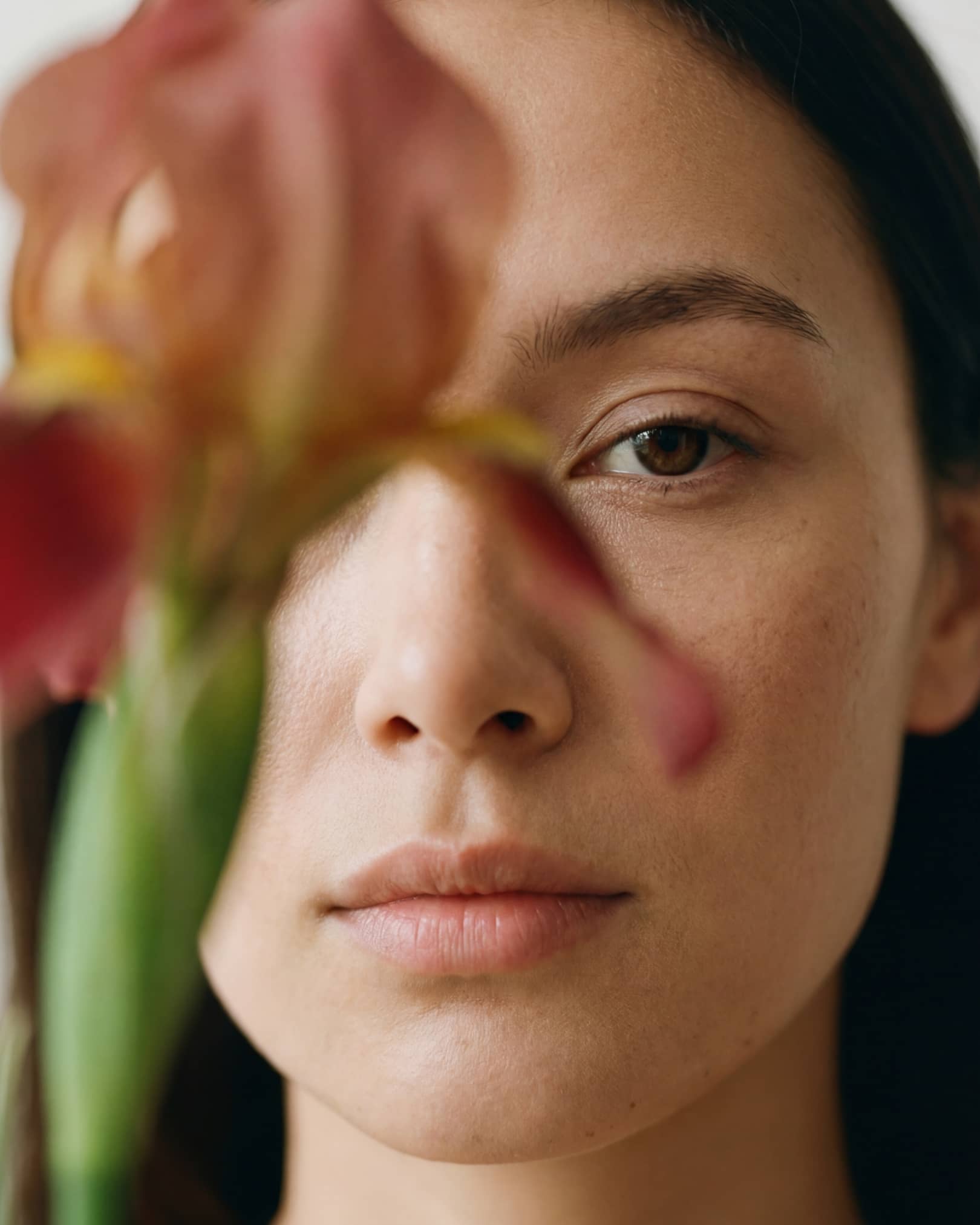 The Phoney Club_TPE1 – 1