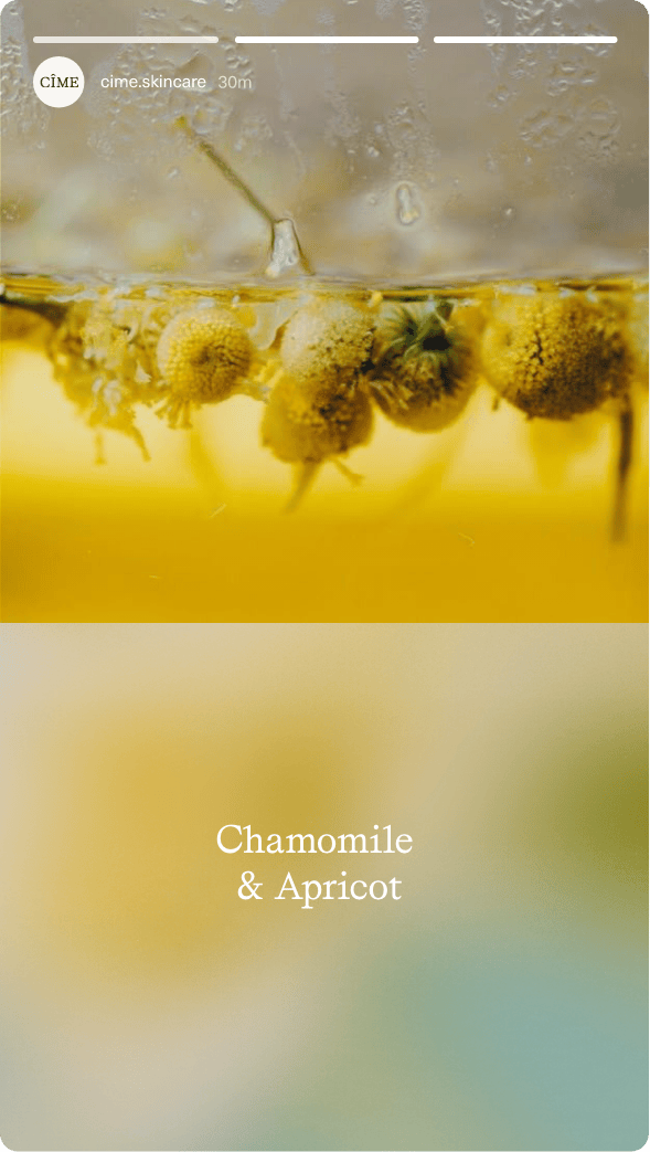 ThePhoneyClub_cime-mob11