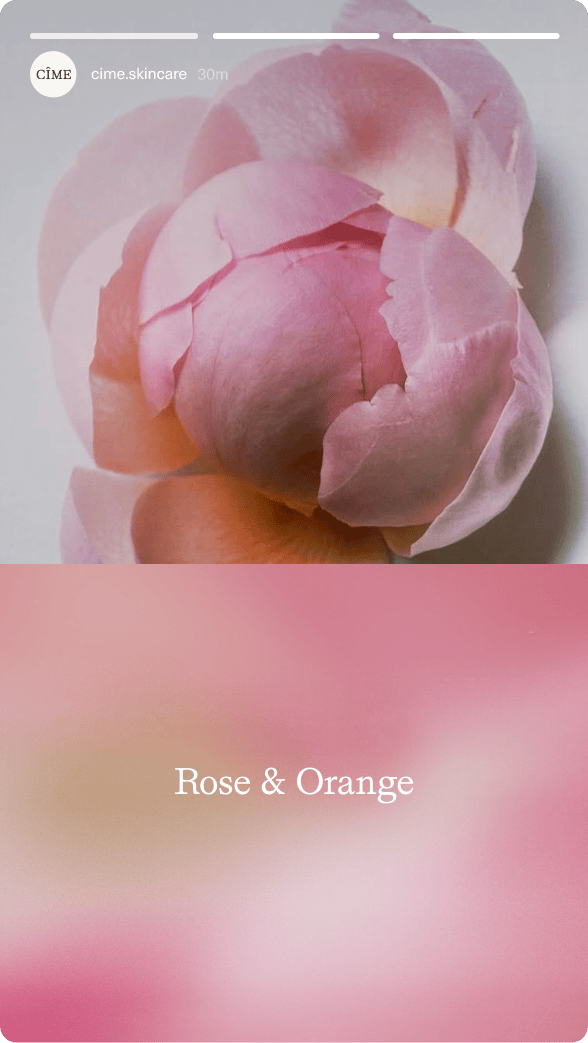 ThePhoneyClub_cime-mob12