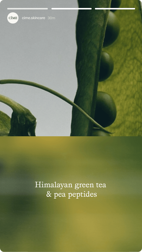 ThePhoneyClub_cime-mob5